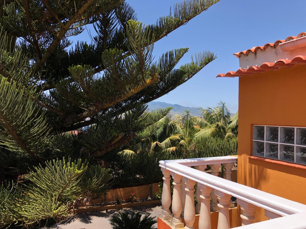 Apartamento En La Laguna Сан-Кристобаль-де-Ла-Лагуна Экстерьер фото